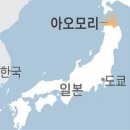 사과1번지