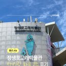 울산 장생포 고래박물관 아이랑 하루 코스 후기 돌고래 모노레일 고래문화마을 울산함까지 솔직 리뷰