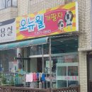 오뉴월개팔자 이미지