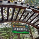 솔바람길 | 원주 맨발 걷기 운곡 솔바람길 숲속 걷기 후기