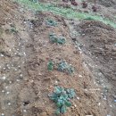 정식농장 이미지