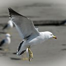 외포리선착장 이미지