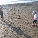 조개체험장  대죽 이미지