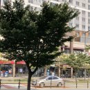 고운동_마음로 버스정류장 이미지