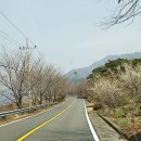 쌍계1교 이미지