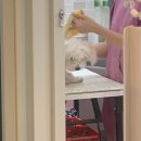 온누리 종합 동물병원 이미지