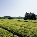 승평농장 네이버블로그