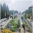 알찬하루 이미지