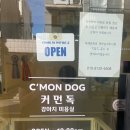 커먼독