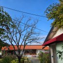 오느른 선 | 김제 가볼만한곳"오느른책밭"