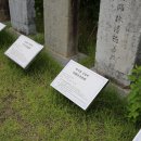 은진면사무소 이미지