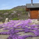 미륵산계곡꿈의궁전마을 이미지