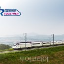 네팔 코리아 투어 이미지