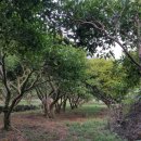 창선농장 이미지