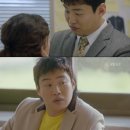 더마이웨이 서울경제