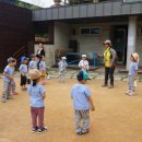 푸른숲유치원 이미지