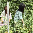 사재산마을 이미지