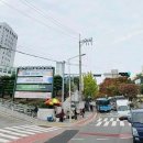 류인광동물병원 | 고신대병원카페 넬, 주차까지 되는 부산 송도 브런치카페 후기