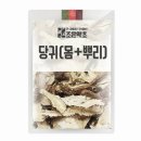 조은뿌리