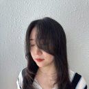 강남 미용실 레이어드컷 c컬펌 아뉴헤어 소윤쌤 후기