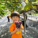 마전농장 이미지