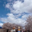 영수공원길 | 벚꽃 보러 무작정 떠난 안동 1박2일 여행 🌸 | 월영교 야경, 안동벚꽃축제, 선유스테이, 안동맛집 찐후기...