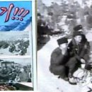 남한불고기 이미지