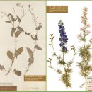 상동무지개작은도서관 이미지