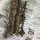 엄나무삼계탕 이미지