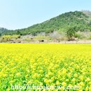 고인돌유적지2 이미지