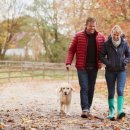 하단동1207 이미지