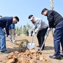 서구-02-47 이미지