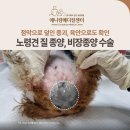 (주)금호메디칼 네이버블로그