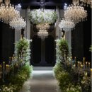 시그너스호텔 이미지