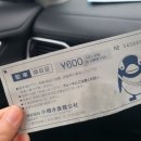 돌고래와펭귄 | 삿포로 오타루 아쿠아리움 펭귄, 돌고래 (할인, 주차, 시간) 후기
