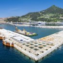 울릉이당 이미지