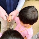 온누리광고.수생식물 | 모두의 회고 2 - 가족회고 온누리어린이집에서 환경을 좋아하게 된 아이들