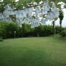 금강민박 이미지