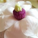 창연농장 이미지