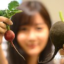 무라고