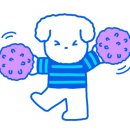 벨라애견카페 이미지