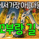 지안재 오도재 말티재 보발재 - 우리나라 최고의 꼬부랑 드라이브 길 베스트 4 이미지