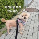 쁘띠아키 이미지