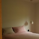 탈로 제주 이미지