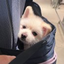 헤이헤이 - 안양시 동안구 학의로 24 | 헤이헤이