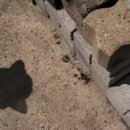 남경가든 이미지