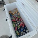 닥터카서비스 | [괌 호핑투어] 괌 액티비티 추천 / 파란 크루즈 탑승 후기/ 돌핀 투어 (배멀미는 없었다)