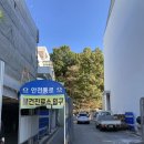 전남대학교 보건진료소 | 전남대학교 보건진료소 독감 예방접종 후기