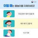 신미라유치원 이미지