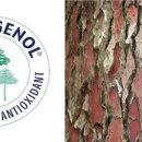 더큰사랑약국 이미지